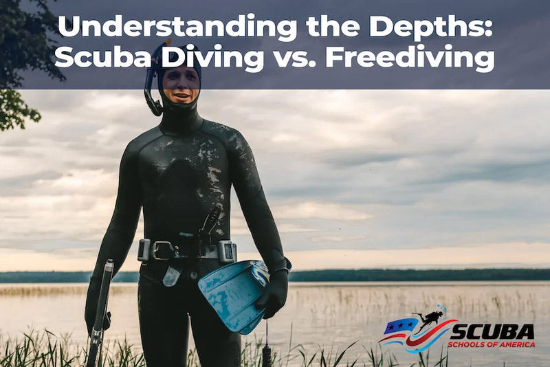 Free Diving vs Scuba Diving