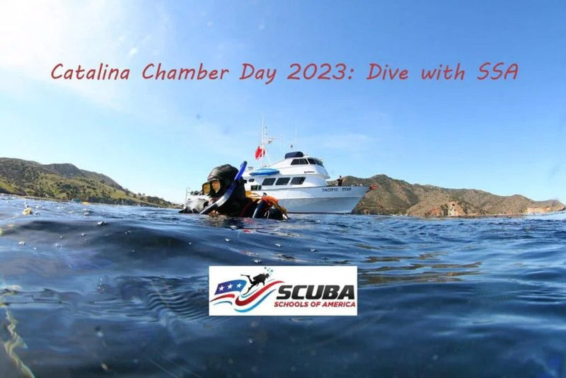Catalina Chamber Day 2023: Dive with SSA