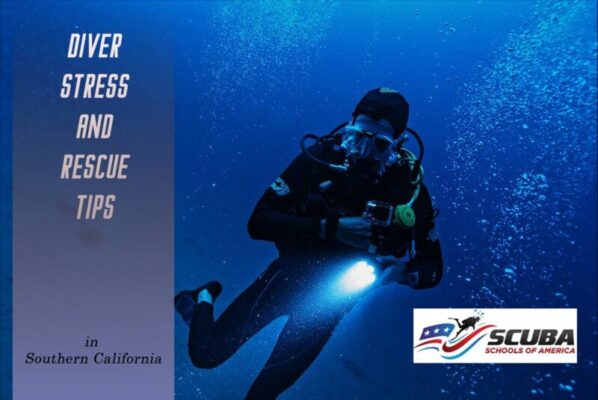 Most Important Tips on Diver Stress and Rescue
