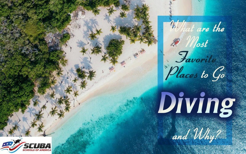 What are the Most Favorite Places to Go Diving and Why?