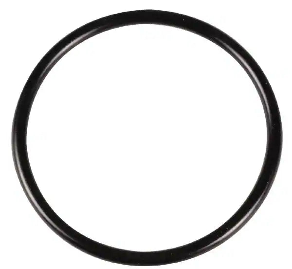 Hollis O-Ring Product Photo