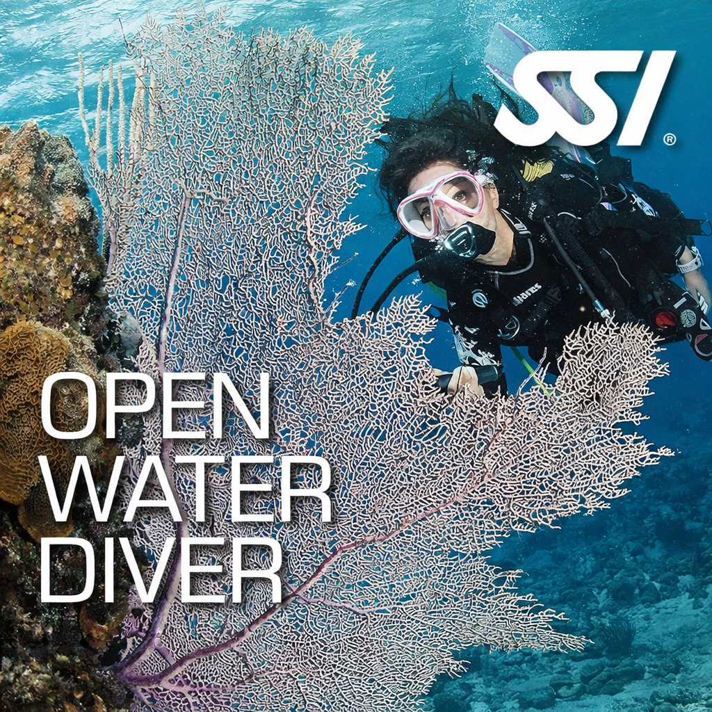 SSI Level 1 Open Water Class Scuba Schools of America