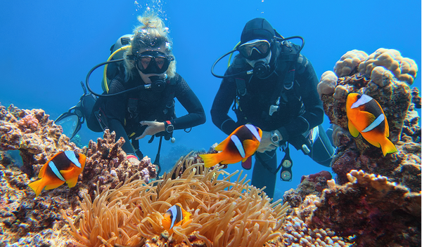 Local Southern California Group Dive Travel