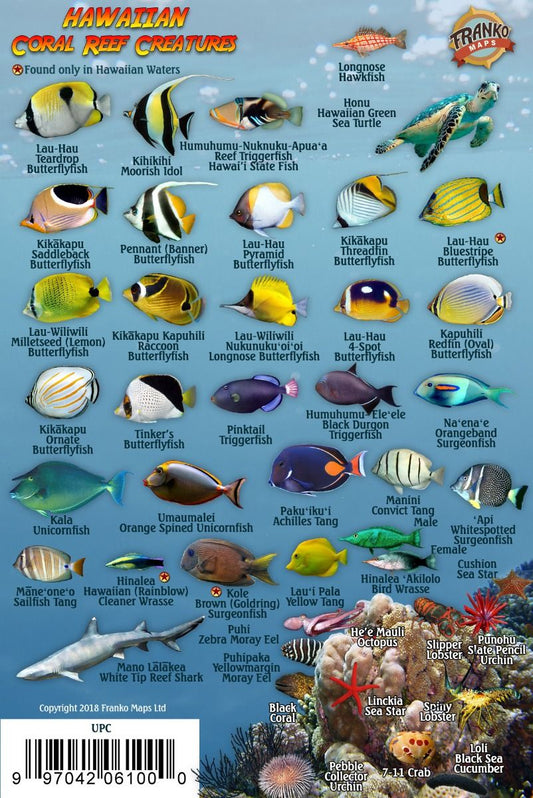 Hawaiian Coral Reef Creatures Guide - Waterproof fish identification card featuring endemic Hawaiian marine species including butterflyfish, triggerfish, wrasses, and Pacific reef creatures with Hawaiian names