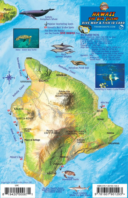 Hawaii The Big Island Dive Map & Fish ID Card - Underwater guide featuring Hawaiian marine life, Kohala Coast dive sites, Green Sea Turtle, dolphins, and Big Island topographical dive location map with fish species identification