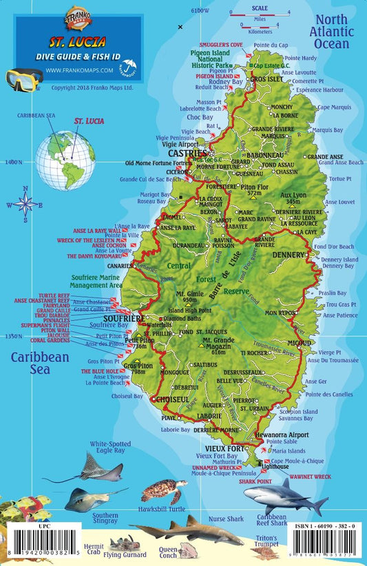 St. Lucia Dive Guide & Fish ID waterproof map showing detailed topographical and underwater features of the Caribbean island with marine life identification guide