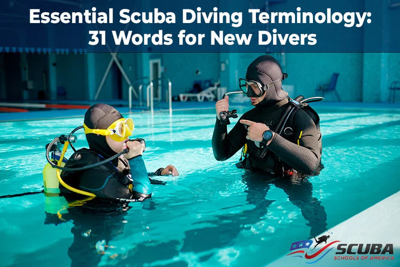 Essential Scuba Diving Terminology: 31 Words for New Divers