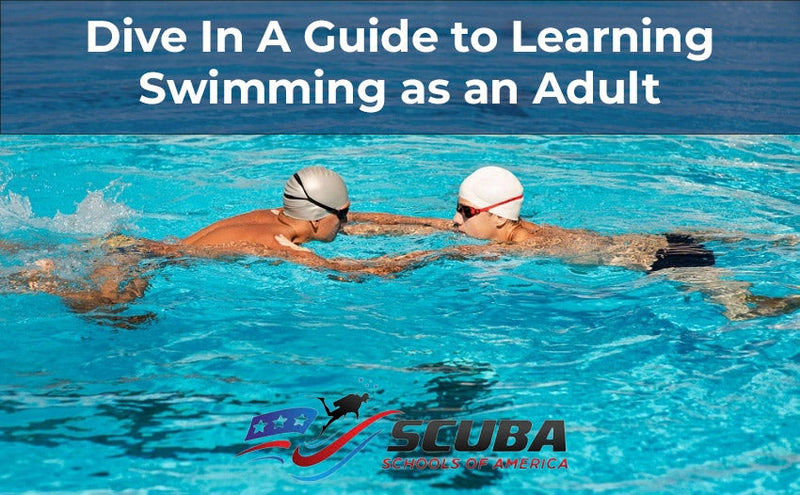 Dive In A Guide to Learning Swimming as an Adult