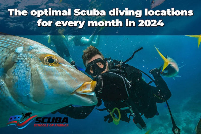 The optimal Scuba diving locations for every month in 2024