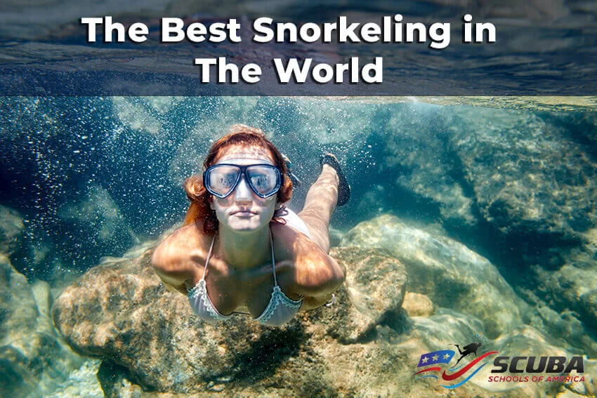 The Best Snorkeling in The World 2025