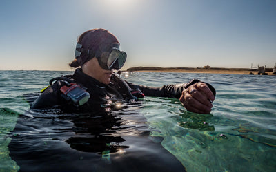 Top 5 Beginner Dive Computers for 2026, Features, Pricing, and Who They Fit Best