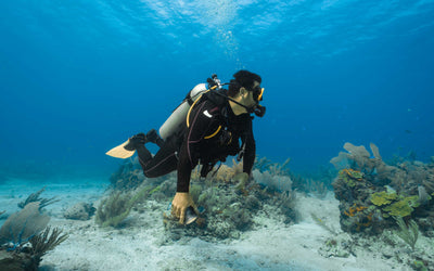 A Local Diver’s Guide to Dive Trips Near Montclair, CA