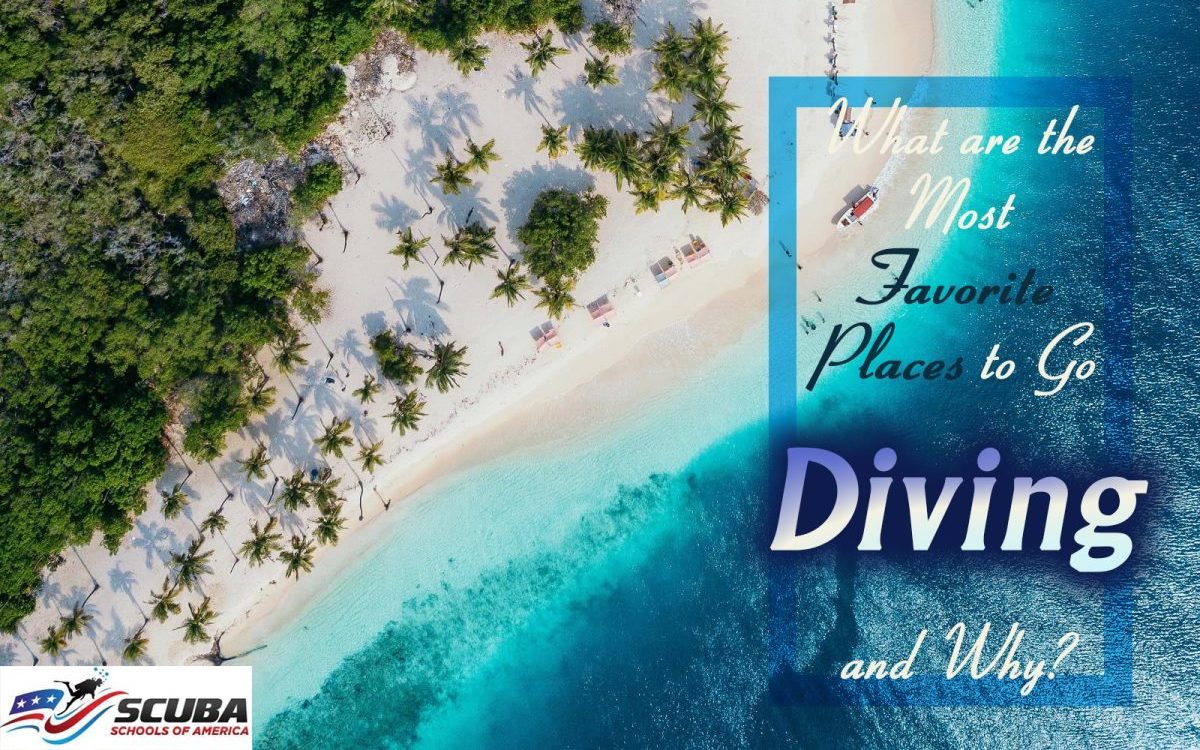 What are the Most Favorite Places to Go Diving and Why?