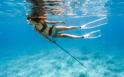 What Is Spearfishing? A Beginner’s Guide to Gear, Safety, and Skills