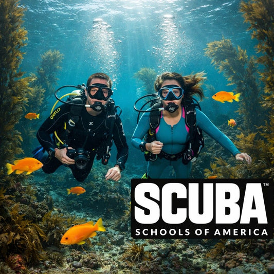 2 For 1 Open Water Diver Tuition