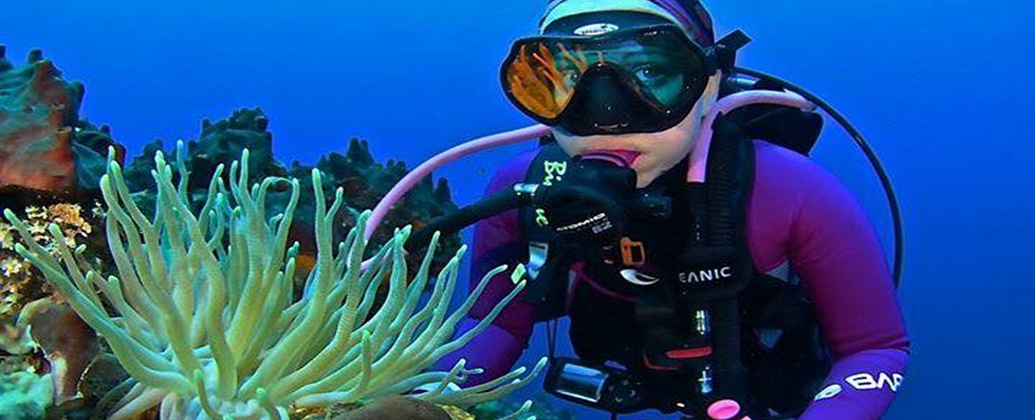Calendar Scuba Schools of America