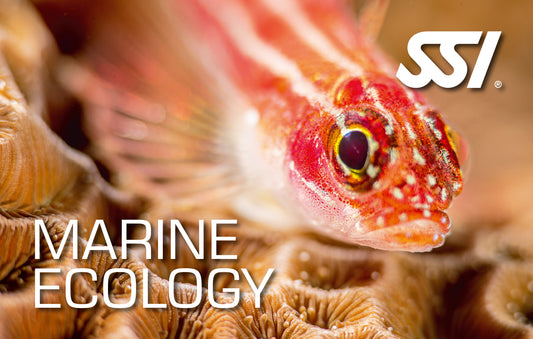 SSI Marine Ecological Diver