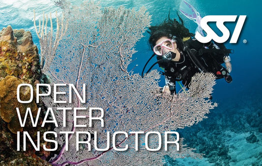 SSI Open Water Instructor Training Course Complete