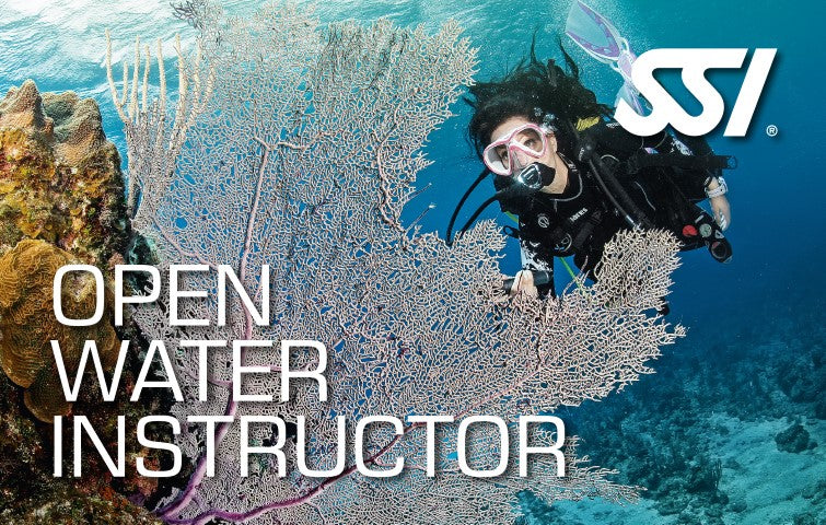 SSI Open Water Instructor Training Course Complete