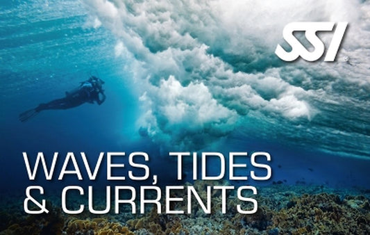 SSI Waves, Tides, and Currents