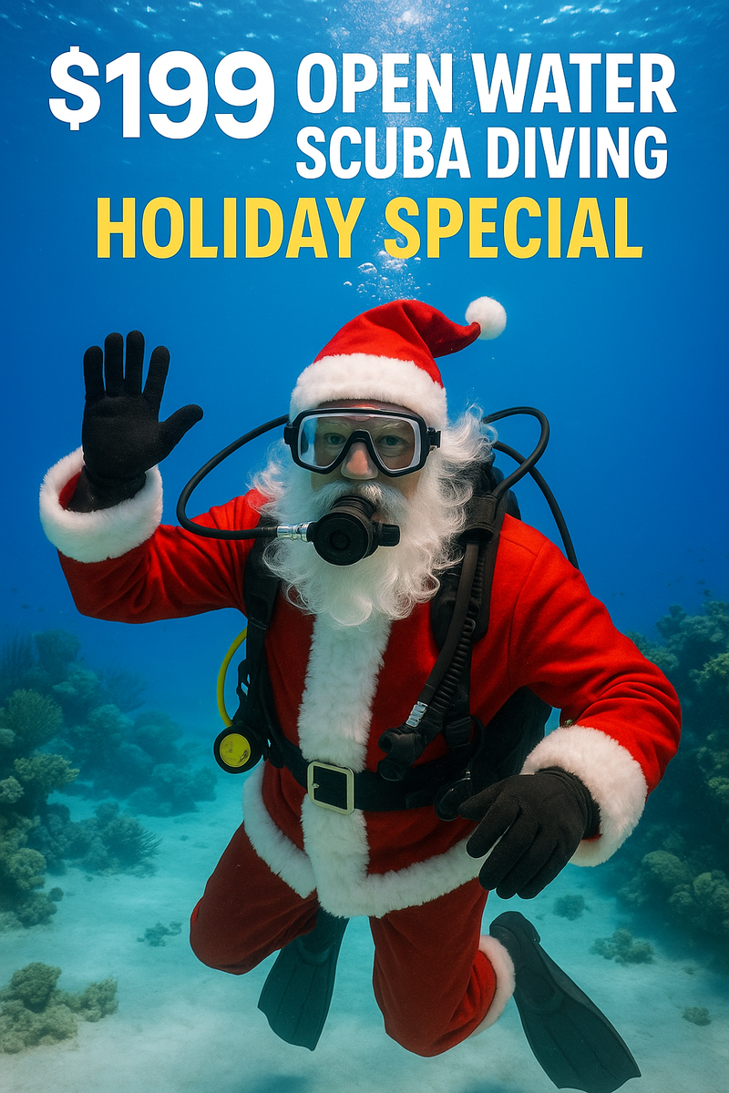 Open Water Tuition Special