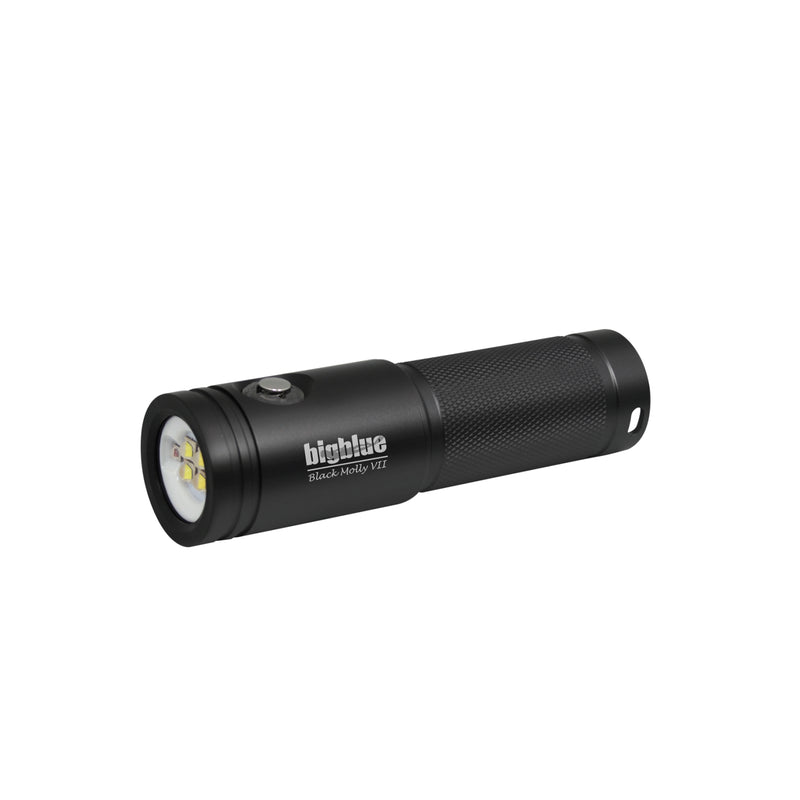 Black Molly VII 2900 Lumen Video Light, Wide Beam Underwater Illumination, Technical Dive Accessory