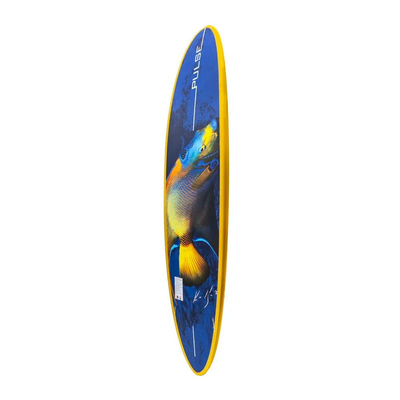 The Cozumel Paddle Board