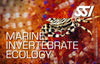 SSI Ecology Series of Classes: Marine Ecology, Fish Identification, Marine Invertebrate Ecology, Nudibranch Ecology, Marine Mammal Ecology, plus Blue Oceans