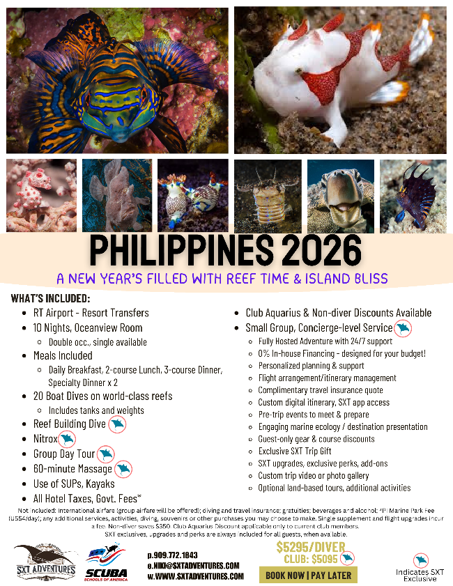 Philippines 2026 | New Year Reef & Island Adventure