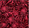 Eco-Friendly Lionfish Invasion Shorts