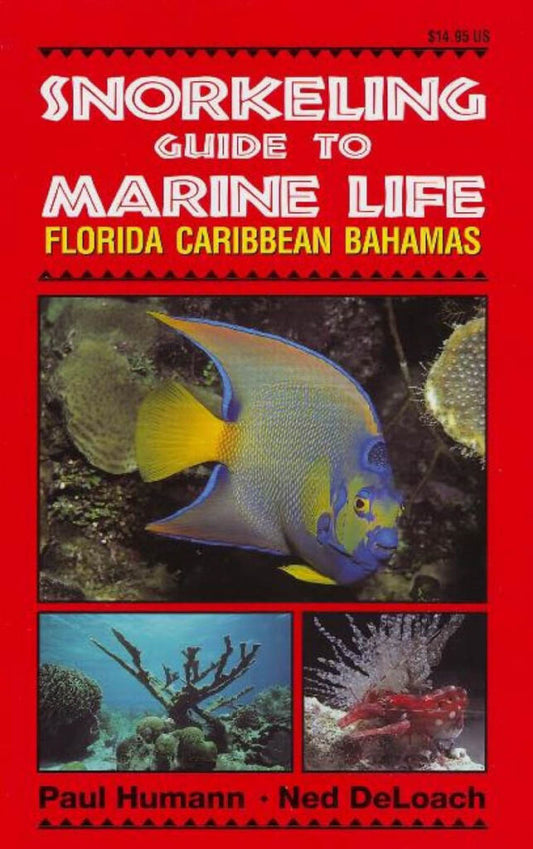 Snorkeling Guide - Florida, Caribbean & Bahamas identification books by Paul Humann and Ned DeLoach