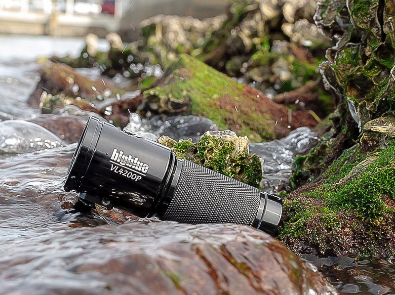 4600 Lumen Video Light with Built In Blue and Red Light, Wide Beam Underwater Illumination, Technical Dive Accessory