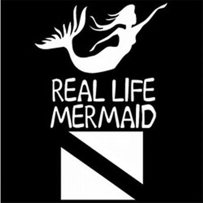 Die Cut Decal