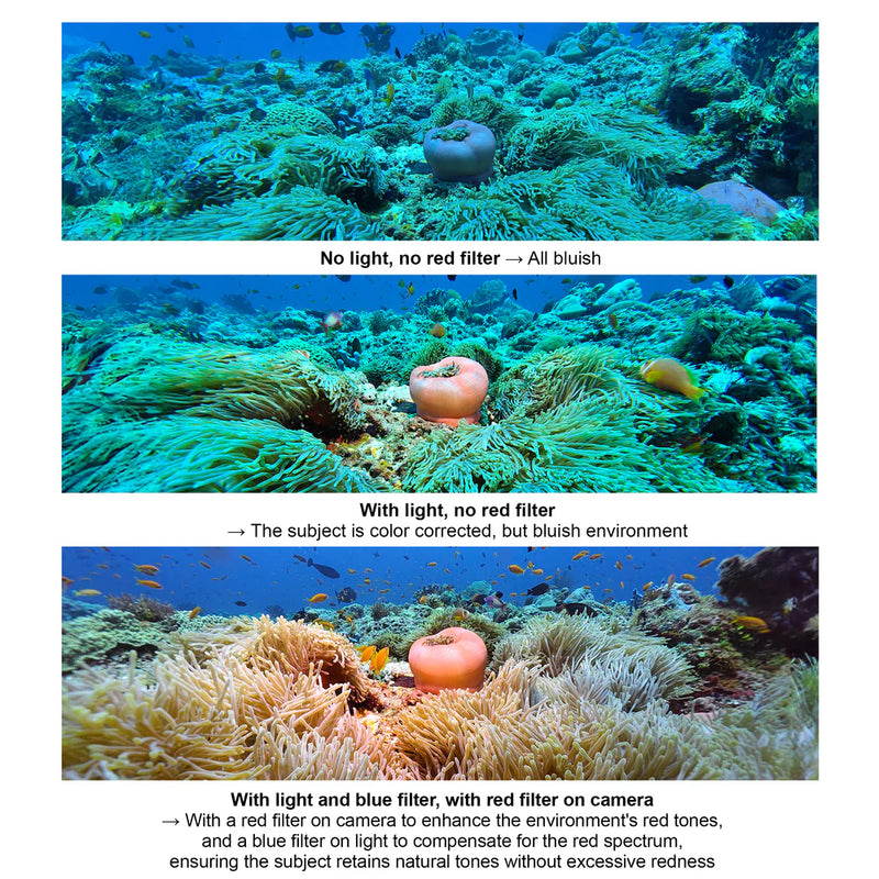 Divevolk Ambient Blue Light Filter for Underwater Video Lights Product Photo