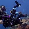 Divevolk Ambient Blue Light Filter for Underwater Video Lights Product Photo