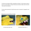 Divevolk Close Shot Macro Photography Kit Product Photo