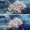 Divevolk Creator SL50 Underwater Video Kit Product Photo