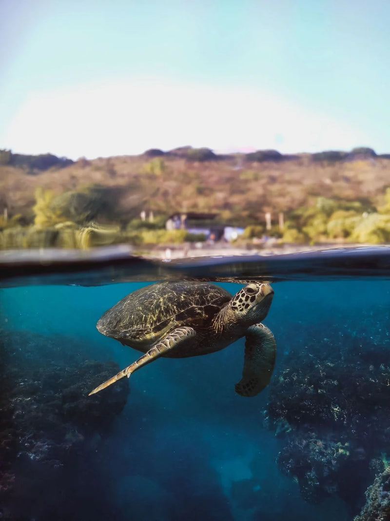 Divevolk Shallow Water Dome Lens for Split Shot Photography Product Photo