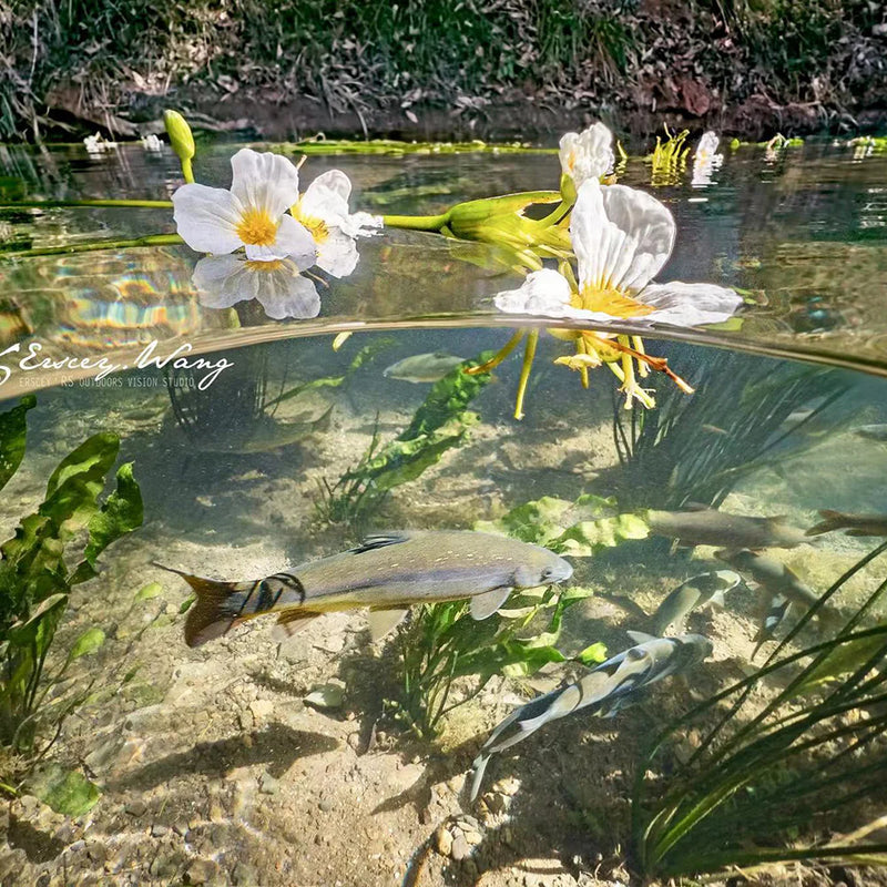 Divevolk Shallow Water Dome Lens for Split Shot Photography Product Photo