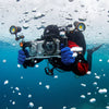 Divevolk Dual Handle Underwater Camera Tray with Ball Heads Product Photo