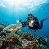 Divevolk Dual Handle Underwater Camera Tray with Ball Heads Product Photo