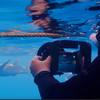 Divevolk Foldable Screen Hood for Underwater Housings Product Photo