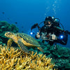 Divevolk Platinum Deep Dive SL120 Underwater Cinema Kit Product Photo