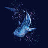 Whale Shark Wonderland Contour Rash Guard