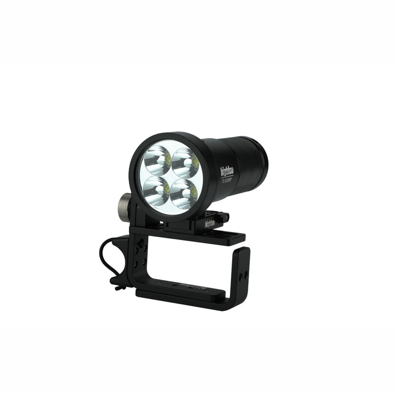 Easy Release Adjustable Goodman Handle, Scuba Dive Light Mount, Hands Free Underwater Control-Scuba Schools of America