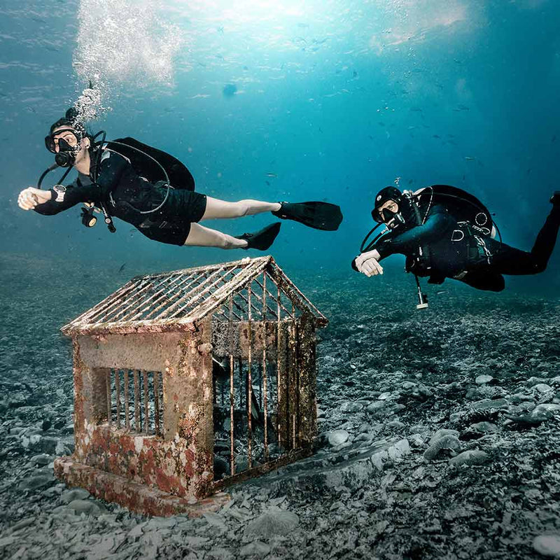 Women's Thermocline Thermal Diving Shorts Product Photo