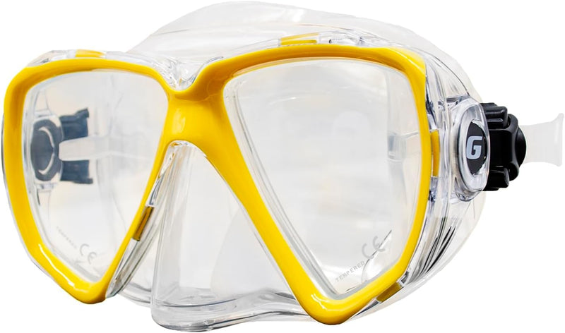 Glance Purge Dual Lens Mask-Scuba Schools of America