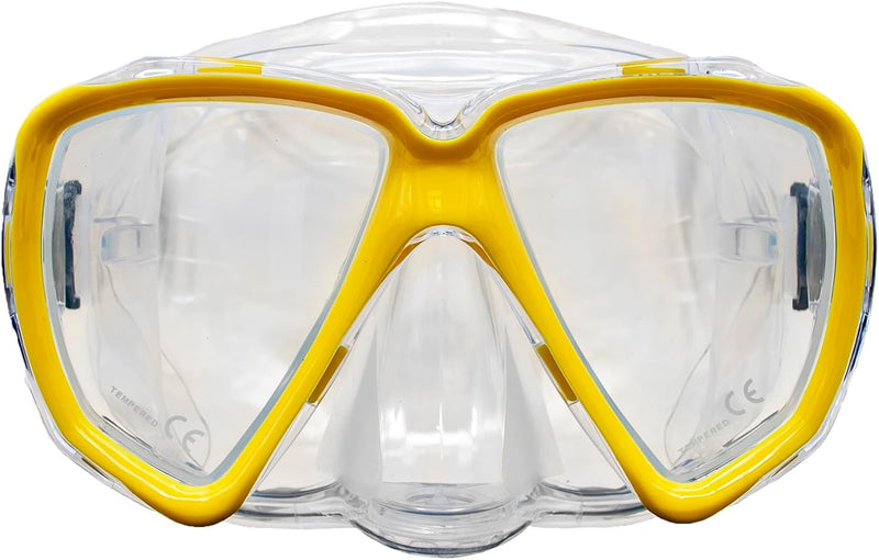 Glance Purge Dual Lens Mask-Scuba Schools of America