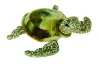 Mini Plush Green Sea Turtle – 8 Inch