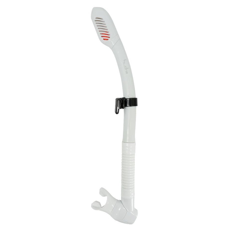 Hydra Dry Snorkel-Scuba Schools of America